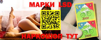 гашик Ярцево