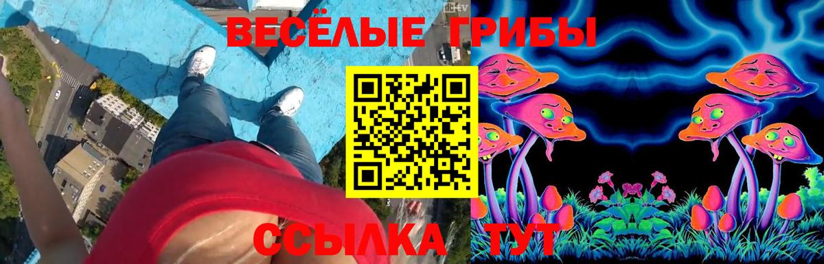 Псилоцибиновые грибы мухоморы Мурманск