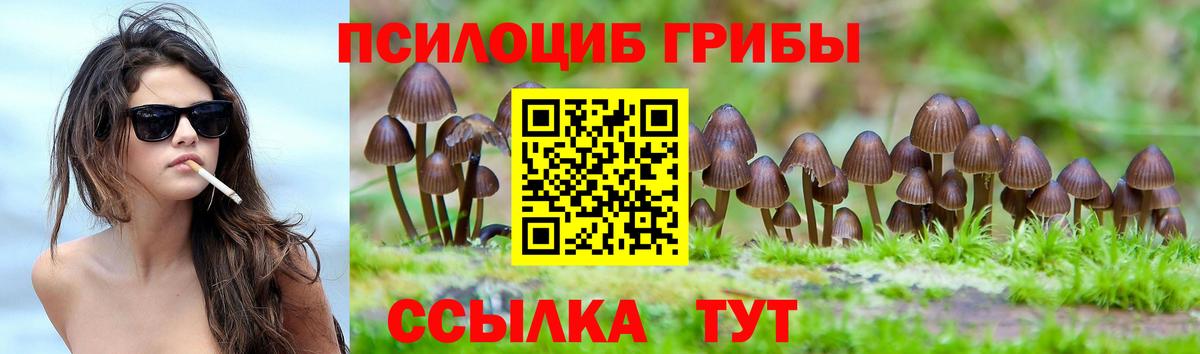 Псилоцибиновые грибы мицелий  Вход с VPN  Мурманск 